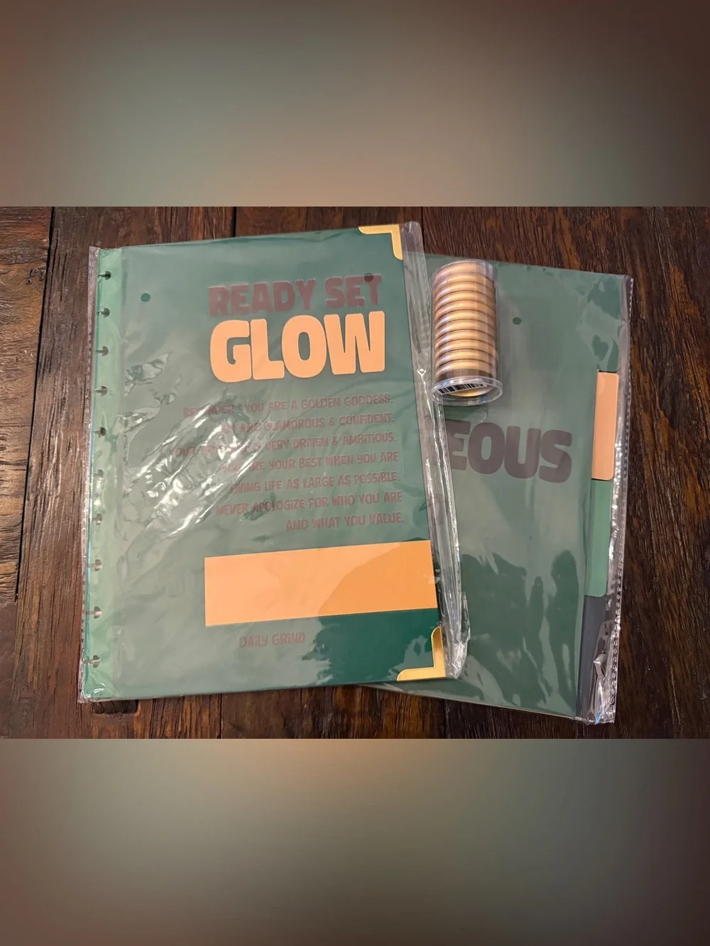 Brand New The Daily Grind Planner cover and dividers